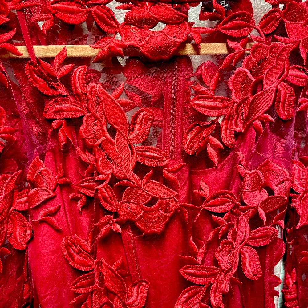 Red lace Topshop dress